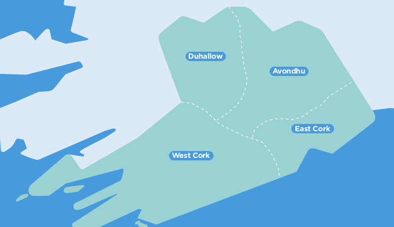 Cork TFI Local Link Bus Services Map